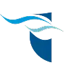 CBAP Certification